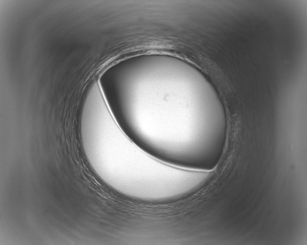 X0000086291169200703300854
