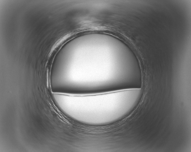 X0000086291171200703300854