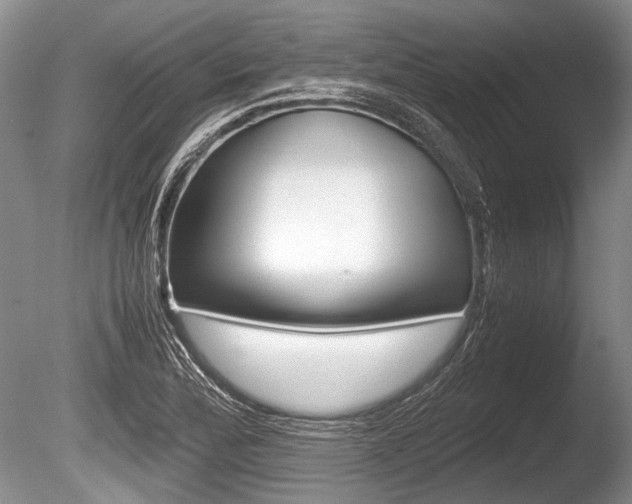 X0000086291172200703300854
