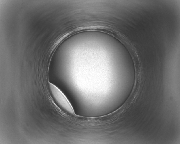X0000086291177200703300854