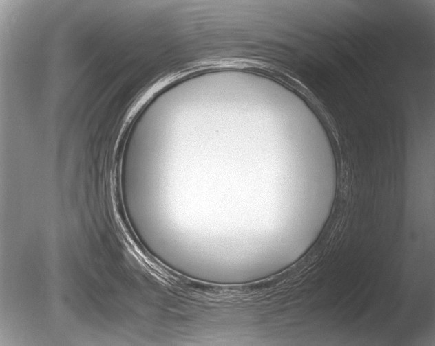 X0000086291187200703300854