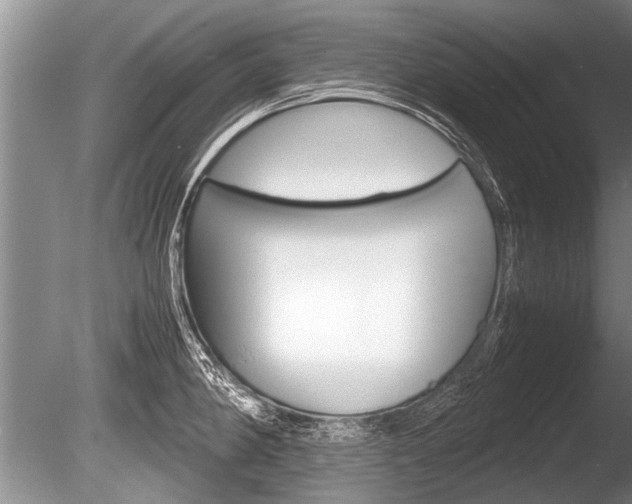 X0000086291190200703300853