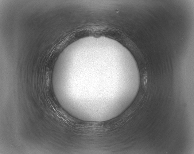 X0000086291204200703300853