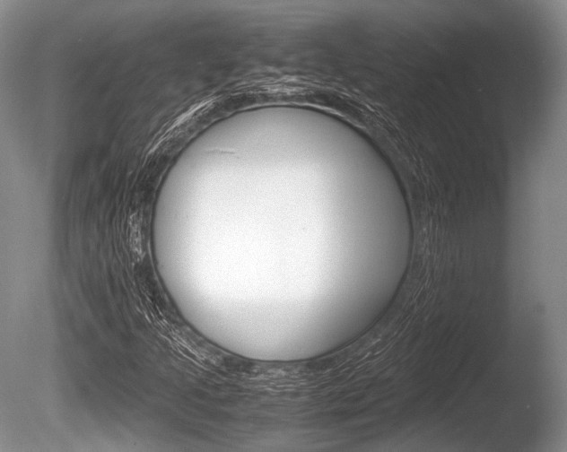 X0000086291205200703300853