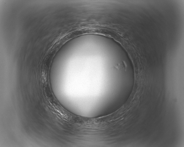 X0000086291206200703300853