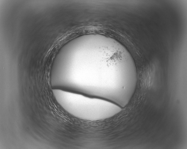 X0000086291207200703300853