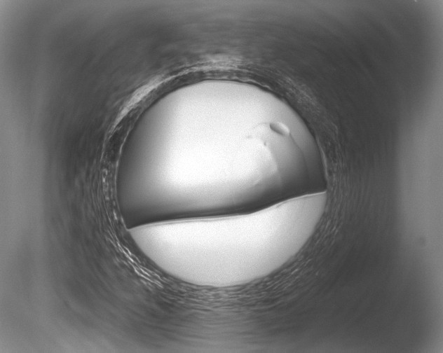 X0000086291208200703300853