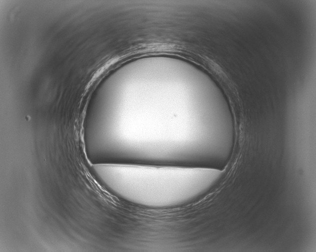 X0000086291212200703300853
