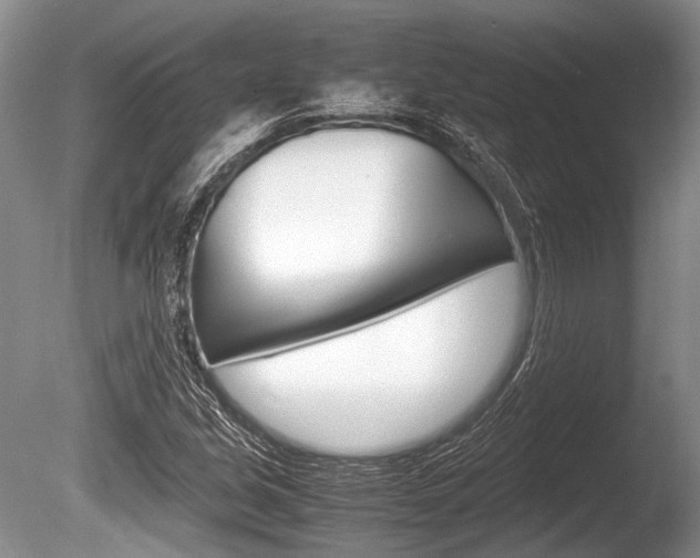 X0000086291213200703300853