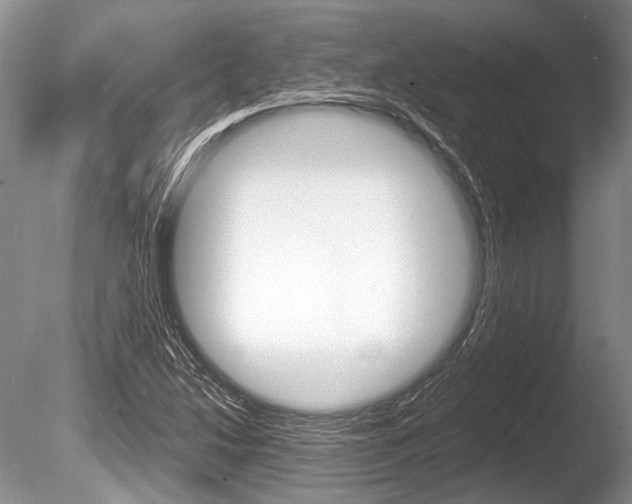 X0000086291214200703300853