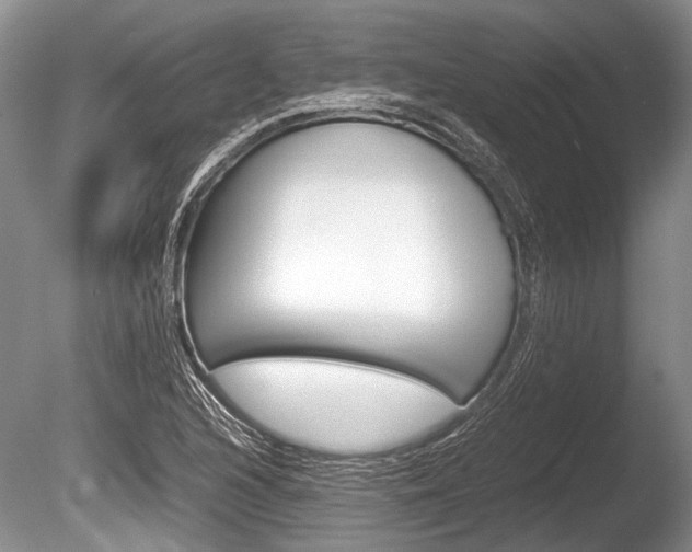 X0000086291216200703300853