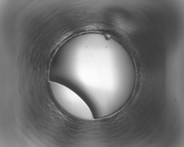 X0000086291217200703300853