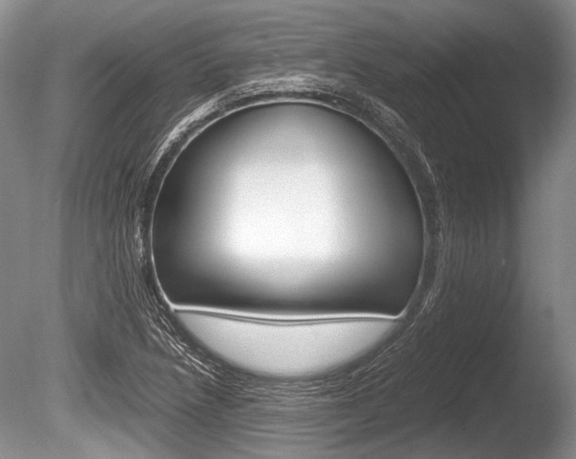 X0000086291218200703300853