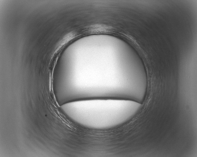 X0000086291219200703300853