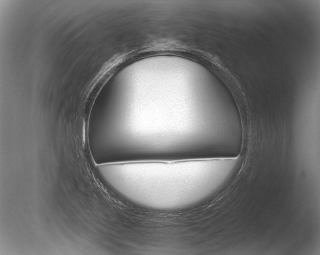 X0000086291221200703300853