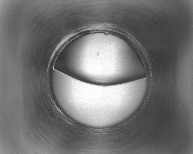 X0000086291224200703300853