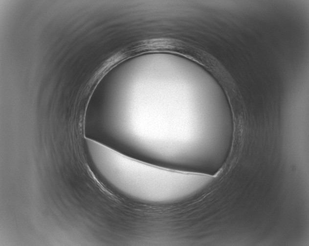 X0000086291225200703300853