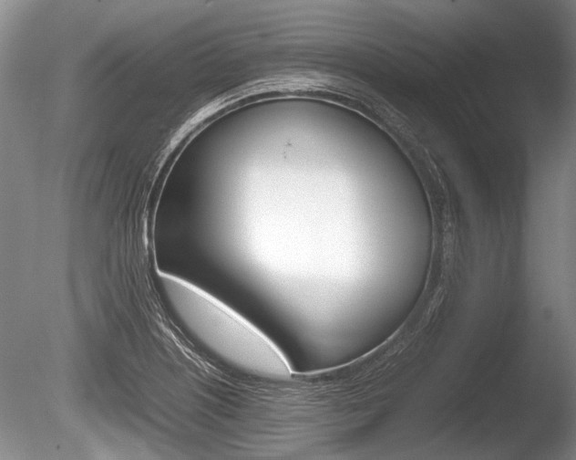 X0000086291226200703300853