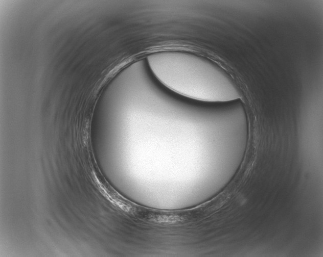 X0000086291233200703300853