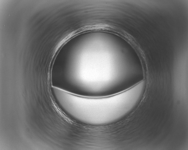 X0000086291234200703300853