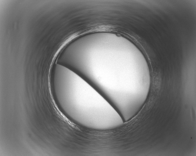 X0000086291235200703300853