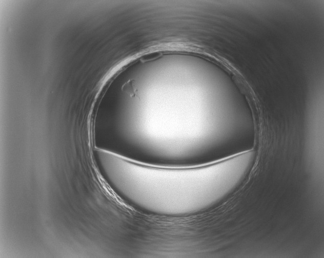 X0000086291238200703300853