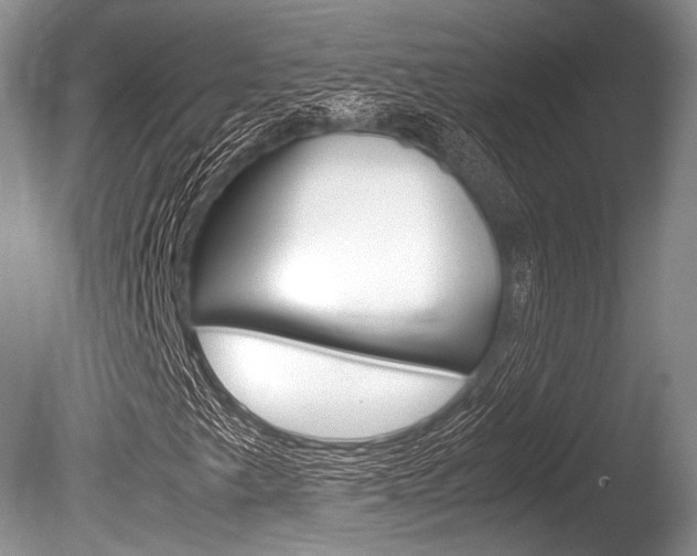 X0000086291249200703300852