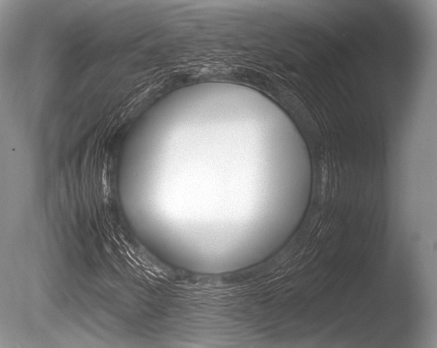 X0000086291250200703300852