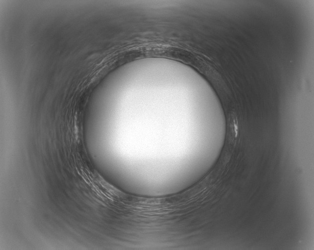 X0000086291252200703300852