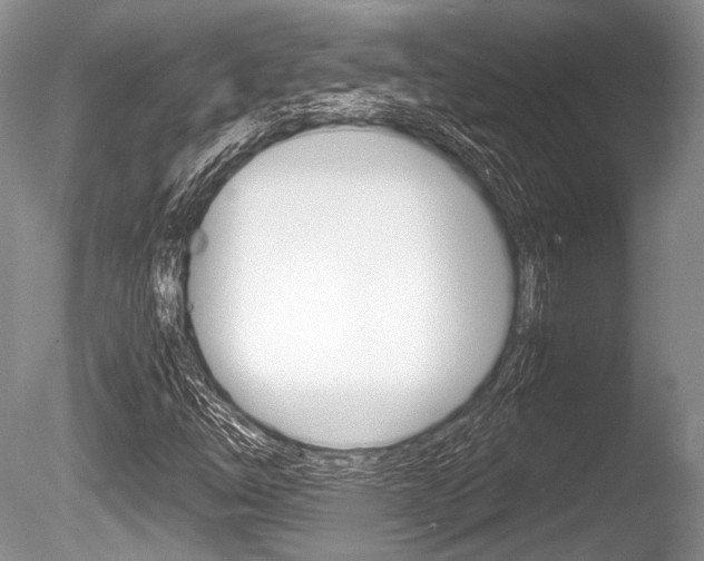 X0000086291254200703300852