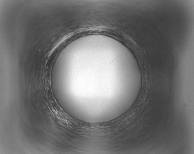 X0000086291256200703300852