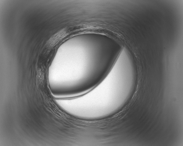 X0000086291257200703300852