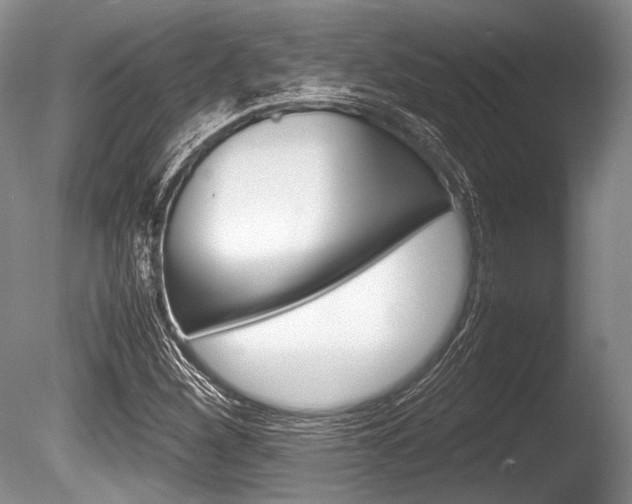 X0000086291260200703300852