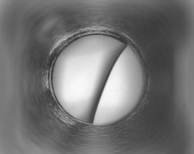 X0000086291262200703300852
