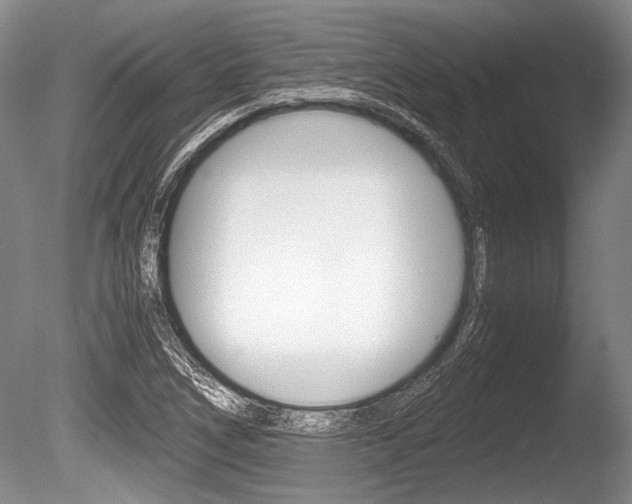 X0000086291266200703300852