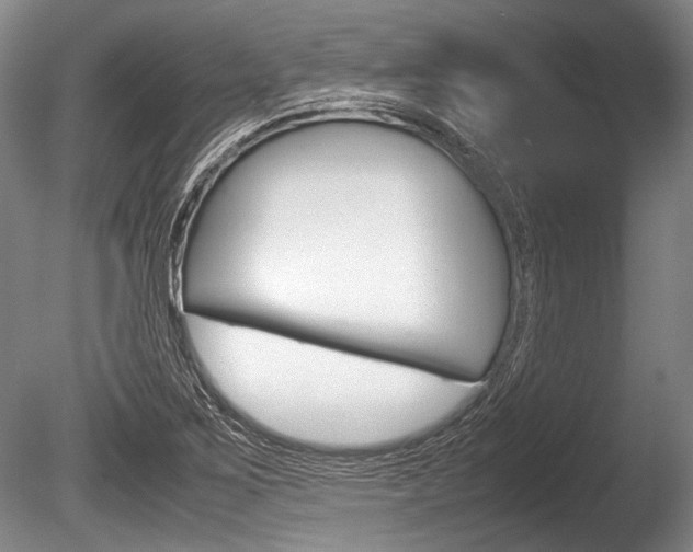 X0000086291267200703300852
