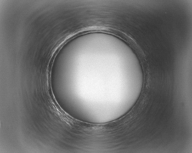 X0000086291268200703300852
