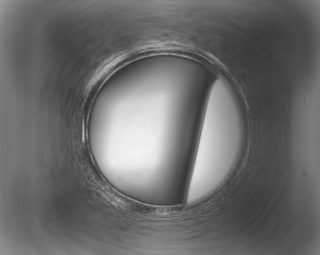 X0000086291269200703300852