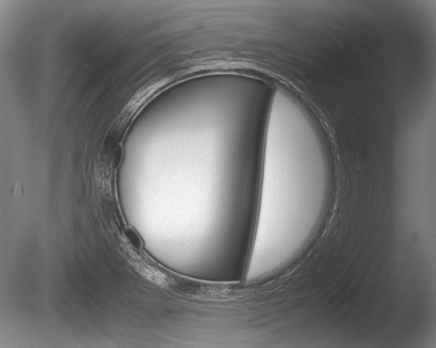 X0000086291273200703300852