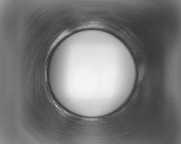 X0000086291274200703300852