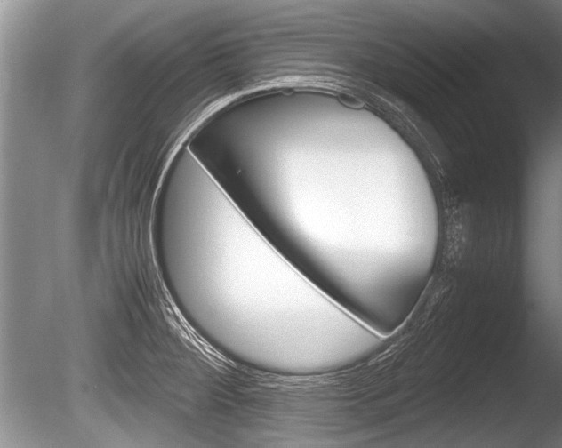 X0000086291284200703300852