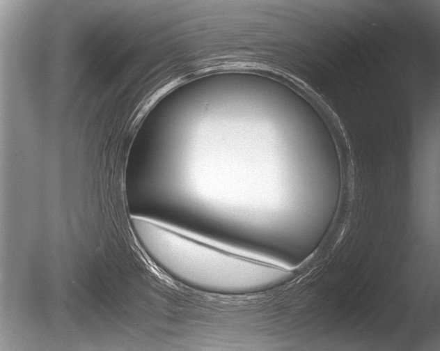 X0000086291289200703300852