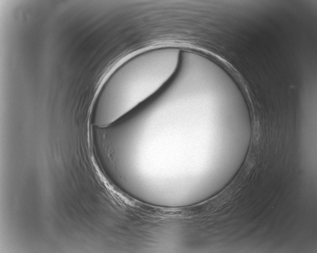 X0000086291295200703300852