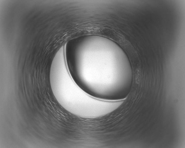 X0000086291298200703300851