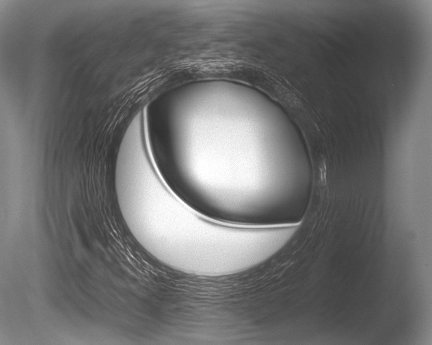 X0000086291300200703300851