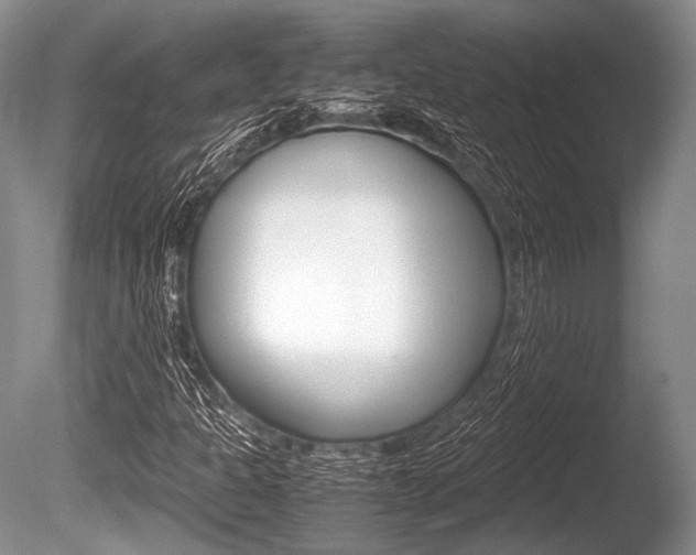 X0000086291301200703300851