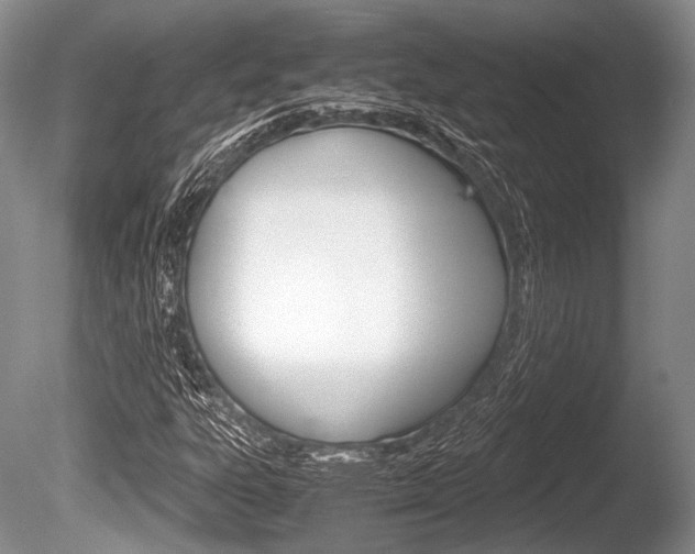 X0000086291303200703300851