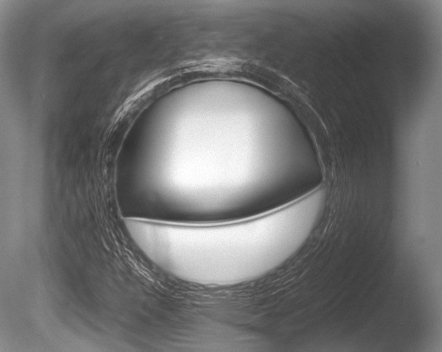 X0000086291304200703300851