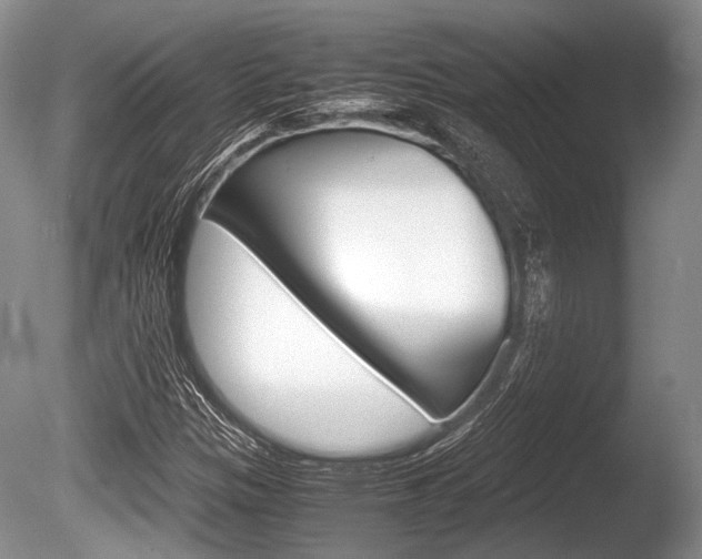 X0000086291305200703300851