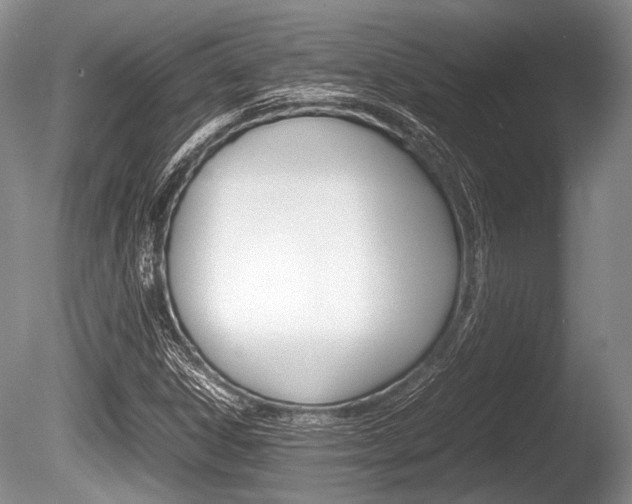 X0000086291306200703300851